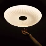 Потолочный светильник Matsutake с стеклянным плафоном от VINSA