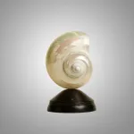 Декоративная настольная лампа Glowshell Mini с плафоном из ракушки от Vinsa