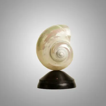 Декоративная настольная лампа Glowshell Mini