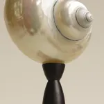 Декоративная настольная лампа Glowshell Mini с плафоном из ракушки от Vinsa