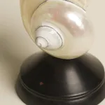 Декоративная настольная лампа Glowshell Mini с плафоном из ракушки от Vinsa