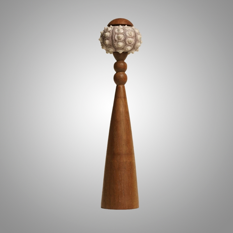 Декоративная настольная лампа Sea Urchin A с плафоном из ракушки от Vinsa Декоративная настольная лампа Sea Urchin A с плафоном из ракушки от Vinsa