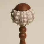 Декоративная настольная лампа Sea Urchin A с плафоном из ракушки от Vinsa