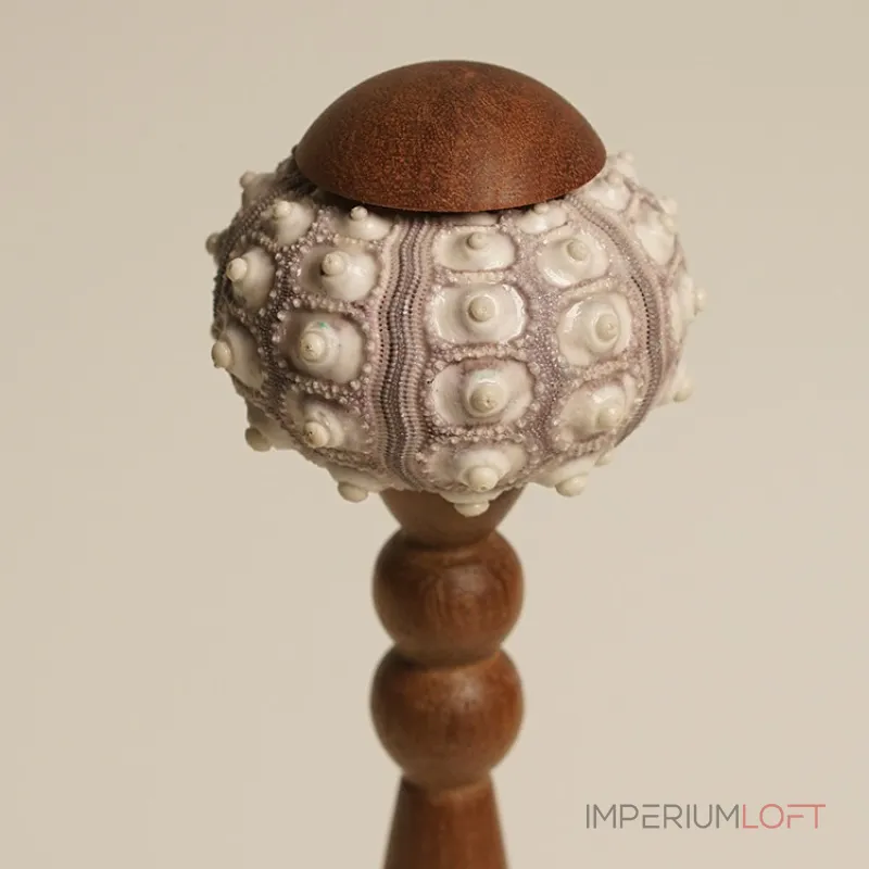 Декоративная настольная лампа Sea Urchin A с плафоном из ракушки от Vinsa Декоративная настольная лампа Sea Urchin A с плафоном из ракушки от Vinsa