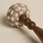 Декоративная настольная лампа Sea Urchin A с плафоном из ракушки от Vinsa