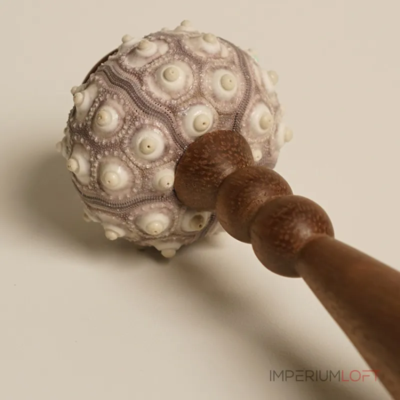 Декоративная настольная лампа Sea Urchin A с плафоном из ракушки от Vinsa Декоративная настольная лампа Sea Urchin A с плафоном из ракушки от Vinsa