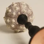 Декоративная настольная лампа Sea Urchin B с плафоном из ракушки от Vinsa