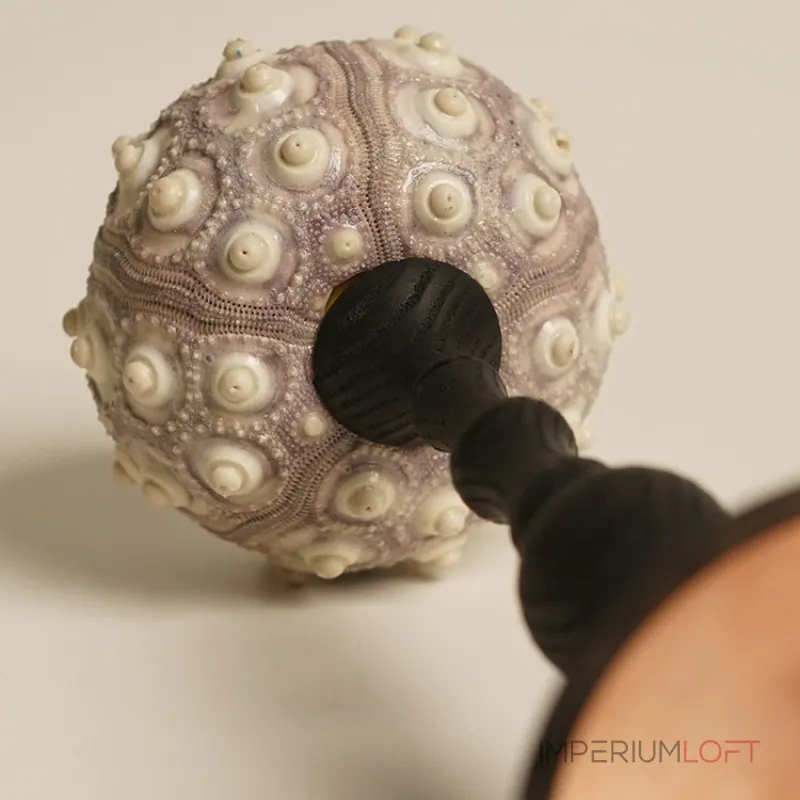 Декоративная настольная лампа Sea Urchin B с плафоном из ракушки от Vinsa Декоративная настольная лампа Sea Urchin B с плафоном из ракушки от Vinsa