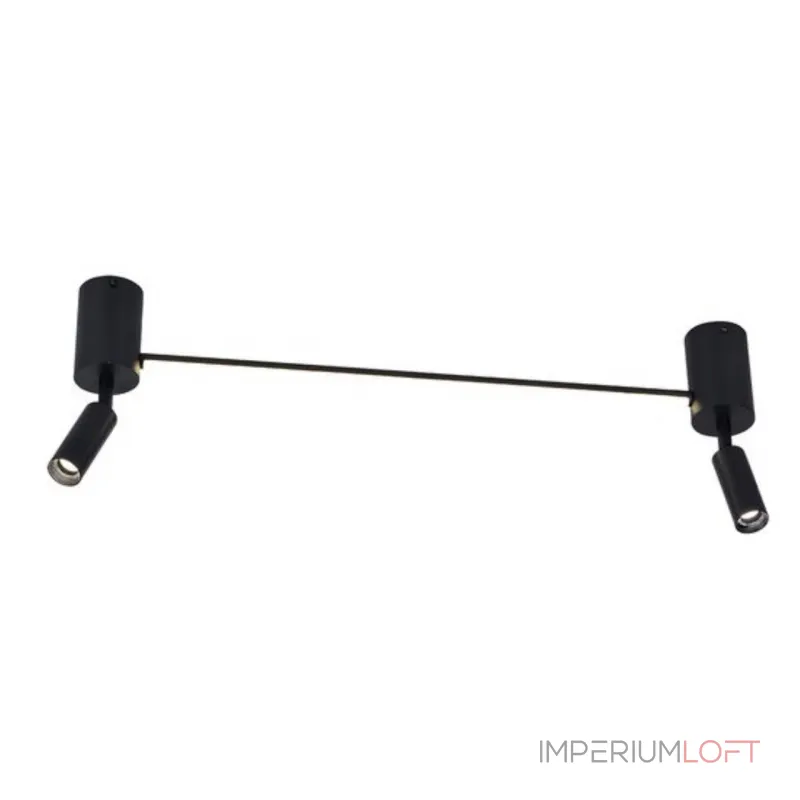 Спот Arte Lamp RASALAS A2219PL-2BK от ImperiumLoft