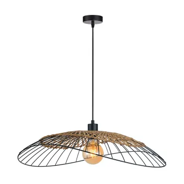 Подвесной светильник Arte Lamp WOODSTOCK A7061SP-1BK