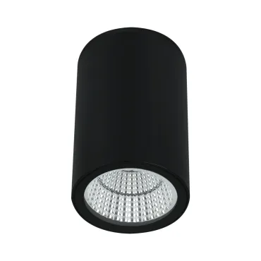 Уличный потолочный светильник Arte Lamp TORCULAR A1307PF-1BK