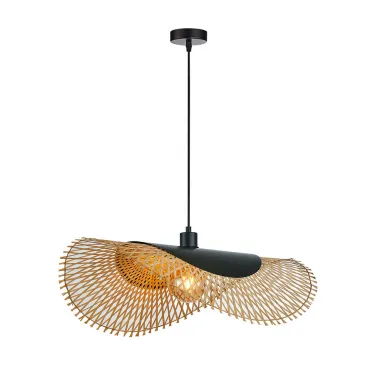 Подвесной светильник Arte Lamp WOODSTOCK A7063SP-1BK Подвесной светильник Arte Lamp WOODSTOCK A7063SP-1BK