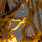 Настенный светильник Divinare SELVA 3200/09 AP-1 от ImperiumLoft