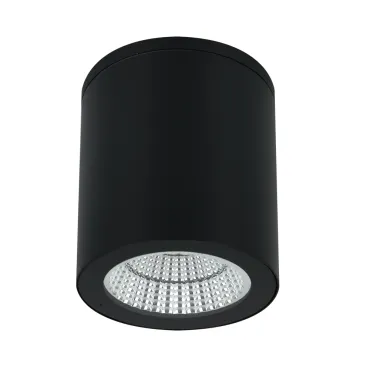 Уличный потолочный светильник Arte Lamp TORCULAR A1313PF-1BK