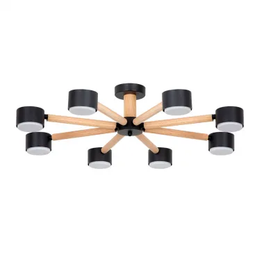 Потолочная люстра Arte Lamp TENDA A1624PL-8BK