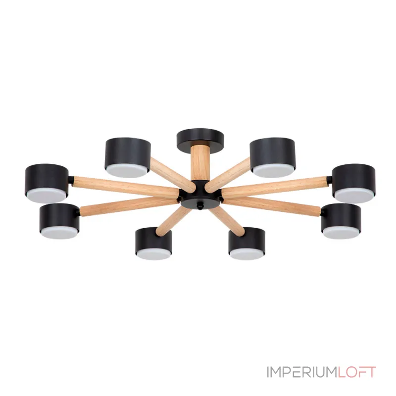 Потолочная люстра Arte Lamp TENDA A1624PL-8BK