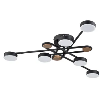 Светильник потолочный ARTE LAMP TAYGETA A2455PL-6BK