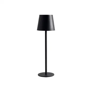 Светильник настольный ARTE LAMP FUYUE A1614LT-1BK