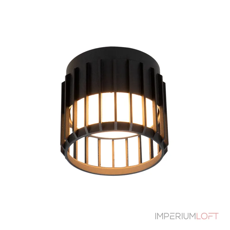 Светильник потолочный ARTE LAMP A8031PL-1BK от ImperiumLoft