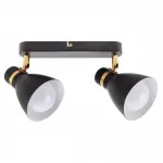 Спот Arte Lamp FAFNIR A5047PL-2BK от ImperiumLoft