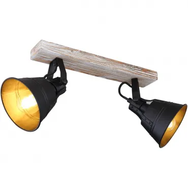 Спот G?nther 15366S-2 Globo