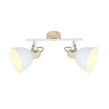 Спот Wiho 54018-2 Globo