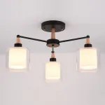 Потолочная люстра RICE D50 Black