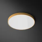 Потолочный светильник DISC COLOR D40 Yellow от ImperiumLoft