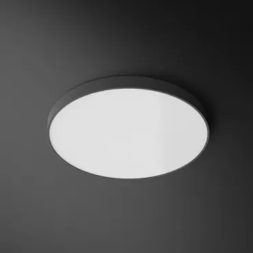 Потолочный светильник DISC COLOR D30 Grey Потолочный светильник DISC COLOR D30 Grey
