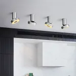 Потолочный точечный светильник STIR Silver от ImperiumLoft