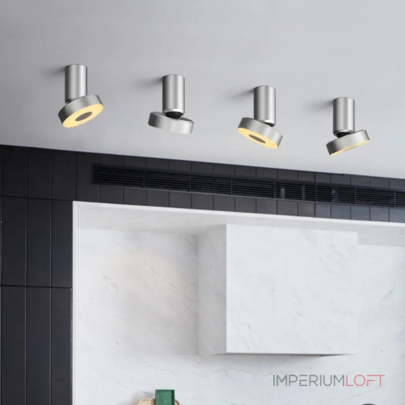 Потолочный точечный светильник STIR Silver от ImperiumLoft