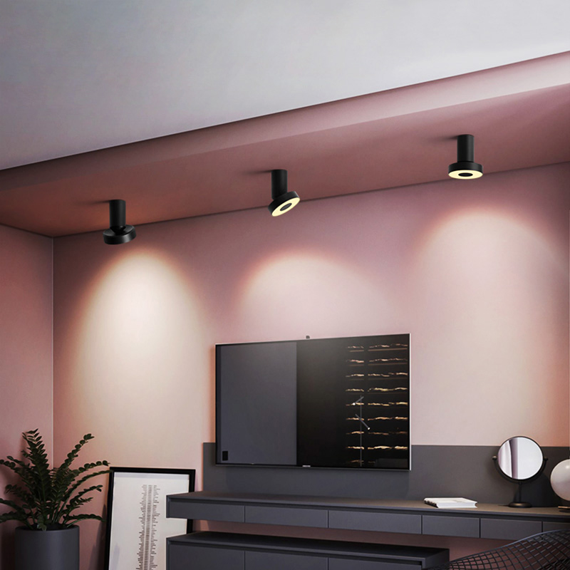 Потолочный точечный светильник STIR Silver от ImperiumLoft