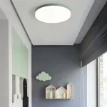 Потолочный светильник DISC HALF D26 White от ImperiumLoft