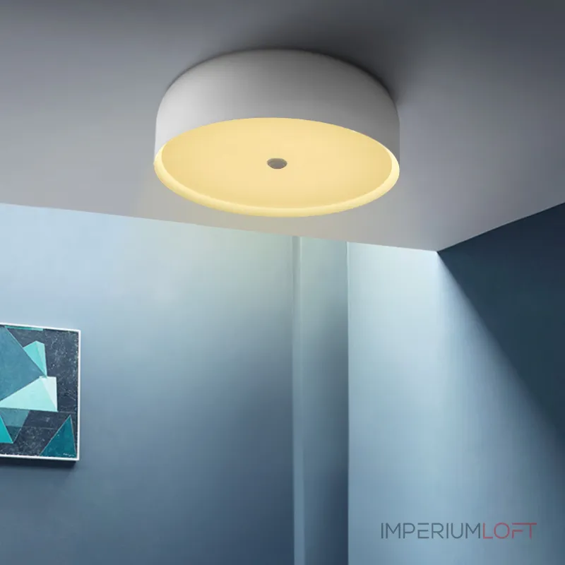 Потолочный светильник CYLINDER C White от ImperiumLoft