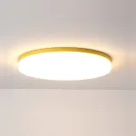 Потолочный светильник DISC HALF D48 Yellow от ImperiumLoft