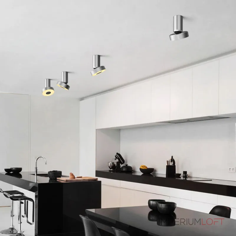 Потолочный точечный светильник STIR Silver от ImperiumLoft