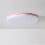 Потолочный светильник DISC HALF D26 Pink от ImperiumLoft