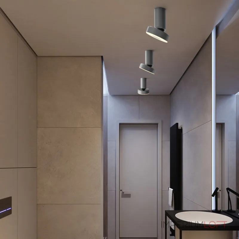 Потолочный точечный светильник STIR Silver от ImperiumLoft