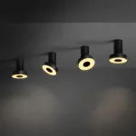 Потолочный точечный светильник STIR Silver от ImperiumLoft