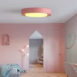 Потолочный светильник BUTTON D28 Grey от ImperiumLoft