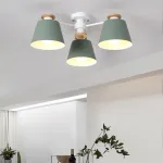Потолочная люстра SCAD D66 Pink