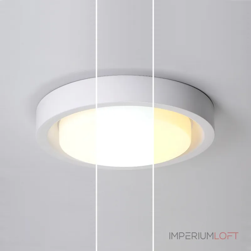 Потолочный светильник BUTTON D28 Grey от ImperiumLoft