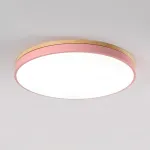 Потолочный светильник DISC D D40 Pink от ImperiumLoft