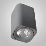 Потолочный точечный светильник H Grey от ImperiumLoft