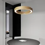 Подвесной светильник RANGE 1 D55 Red wood