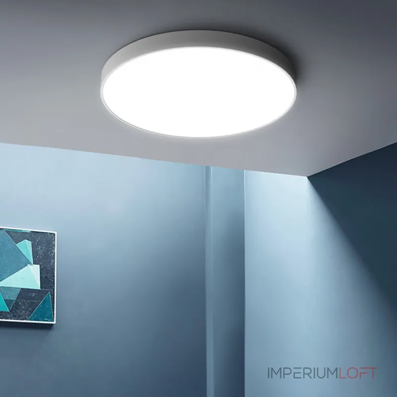 Потолочный светильник DISC BW D50 White от ImperiumLoft Потолочный светильник DISC BW D50 White от ImperiumLoft