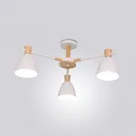 Потолочная люстра FOLKE 3 White от ImperiumLoft