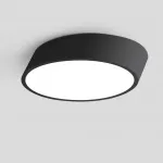 Потолочный светильник INCLINE D50 H10 Black от ImperiumLoft