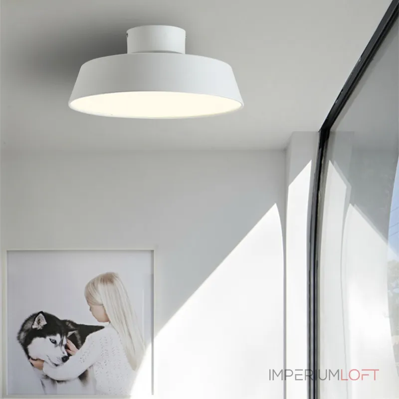 Потолочный светильник VALLA D30 White от ImperiumLoft