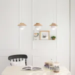 Подвесной светильник ECO Серый от ImperiumLoft